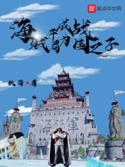 海贼开局成为战国之子飞卢