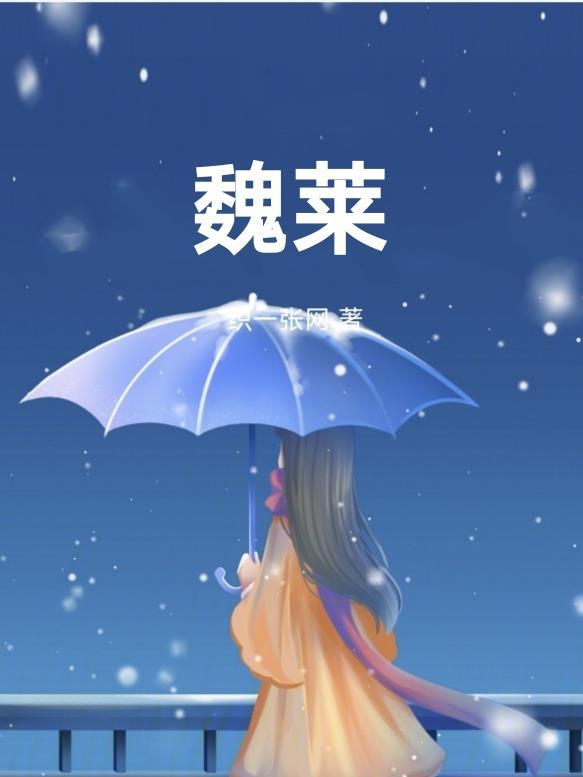 魏莱轮胎的口碑和质量怎么样