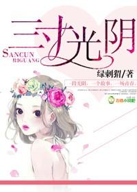 三寸光阴一个鑫作品