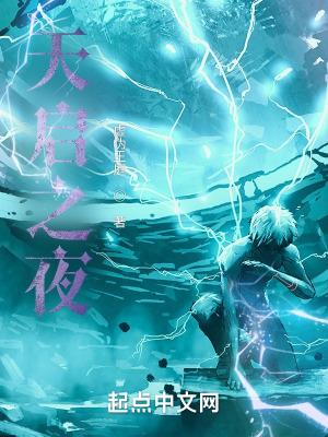 天启之夜大结局